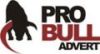 ProBull Advert